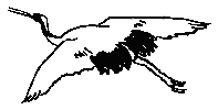 tsuru